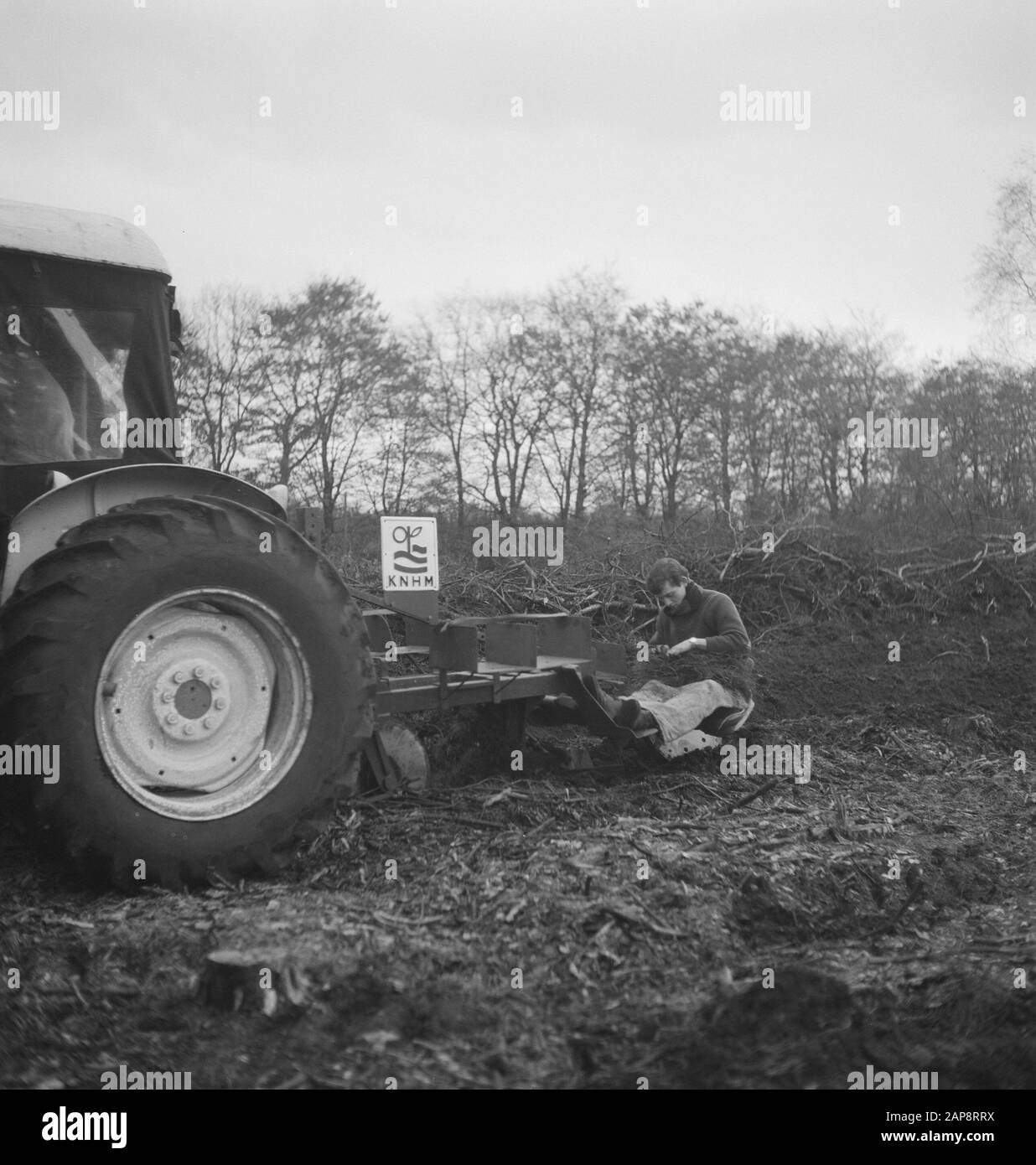 Large scale tree planting Black and White Stock Photos & Images - Alamy