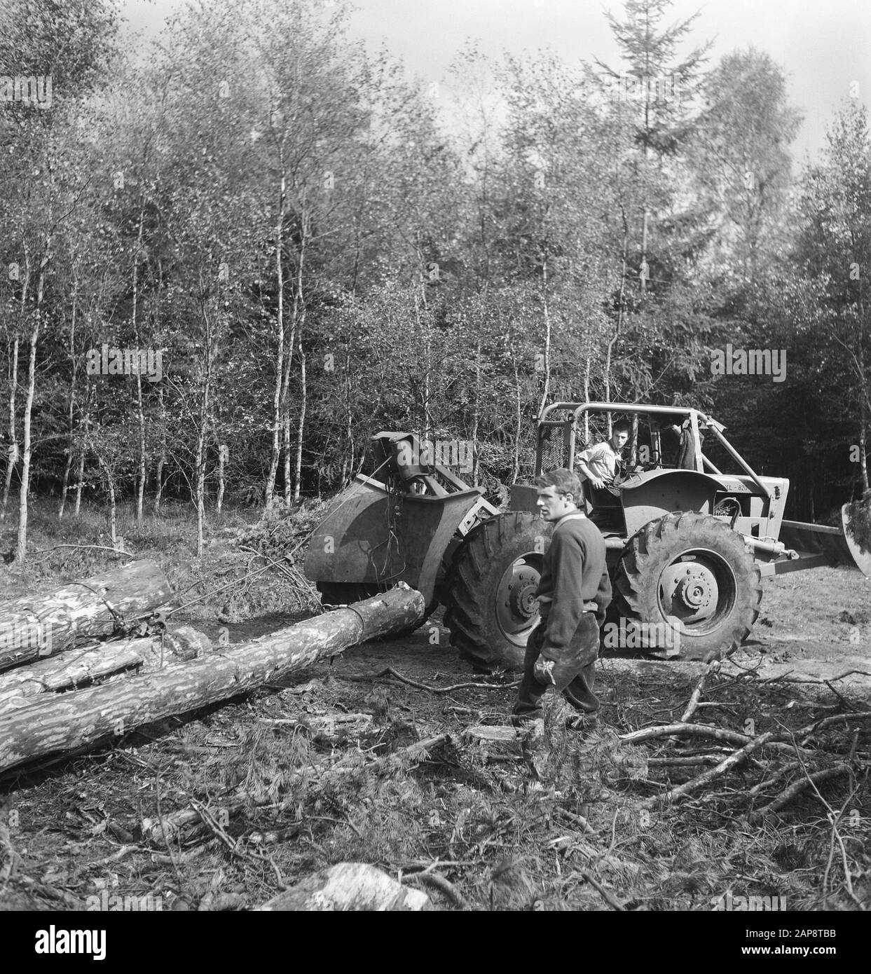 forestry, agricultural machinery, tools, logs, towing work, workers