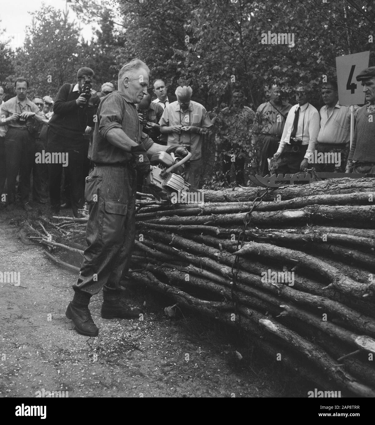 tree trunks, workers, spectators, tools Date: undated Keywords: workers, tree trunks, tools, spectators Stock Photo
