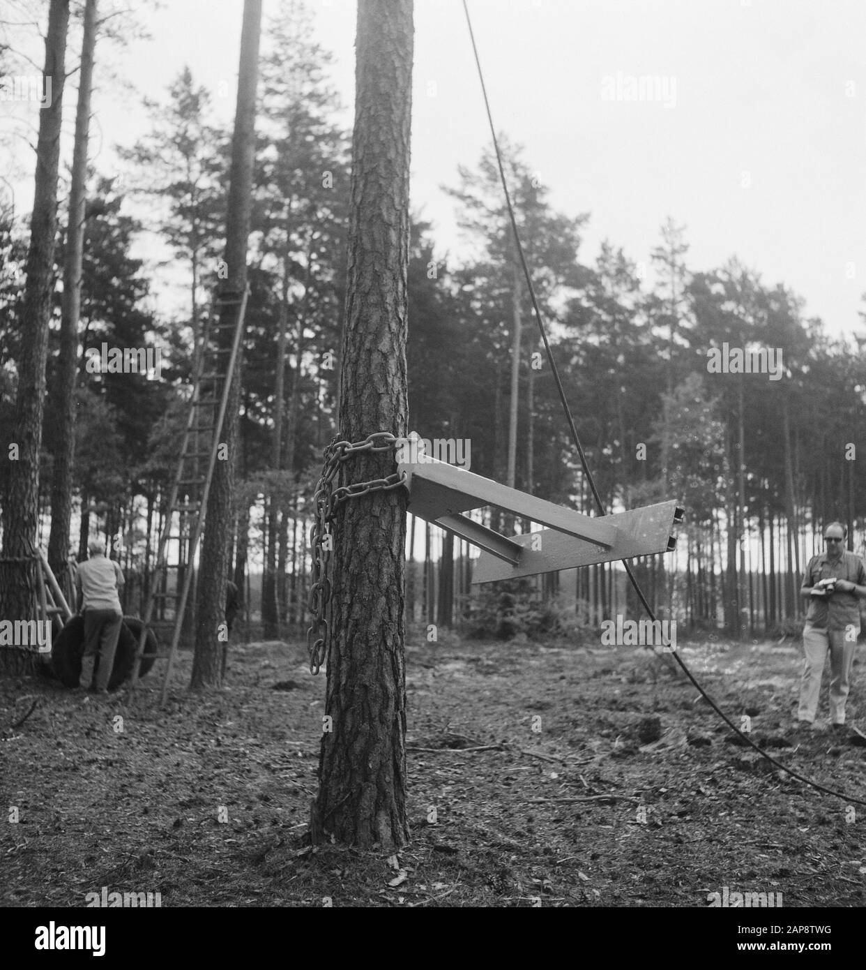 forests, workers, ladders, tools, work Date: undated Keywords: workers, forests, ladders, tools, work Stock Photo
