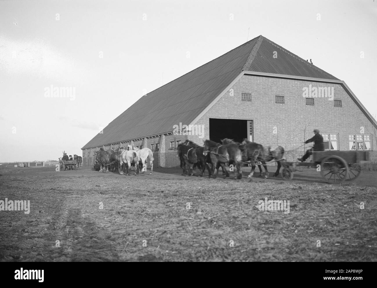 Rhede Stock Photos Rhede Stock Images Alamy