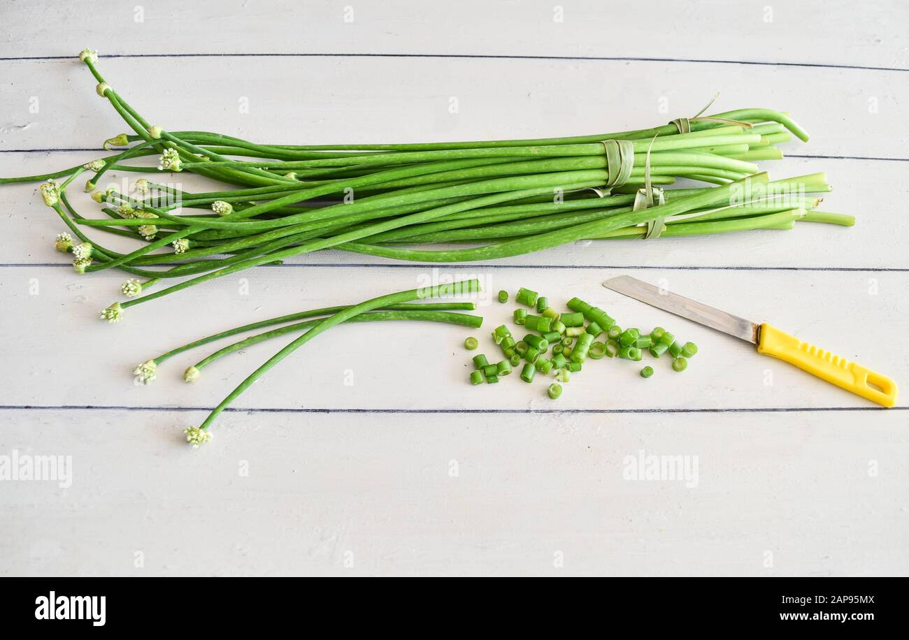 Spring onion flowers deals
