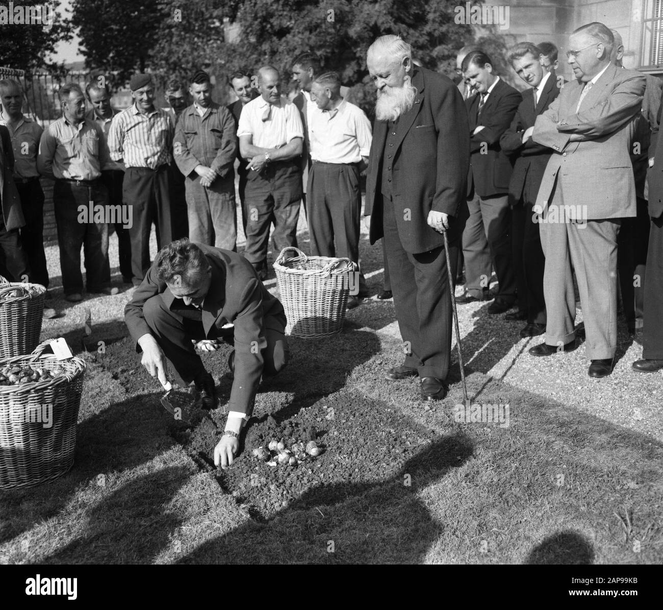 Floriade Rotterdam, 1960 Description: Beginning of planting 1.5 million bulbs for the Floriade at Rotterdam Date: 21 September 1959 Location: Rotterdam, South-Holland Keywords: bulbs, floriades, plants Institution name: Floriade Stock Photo