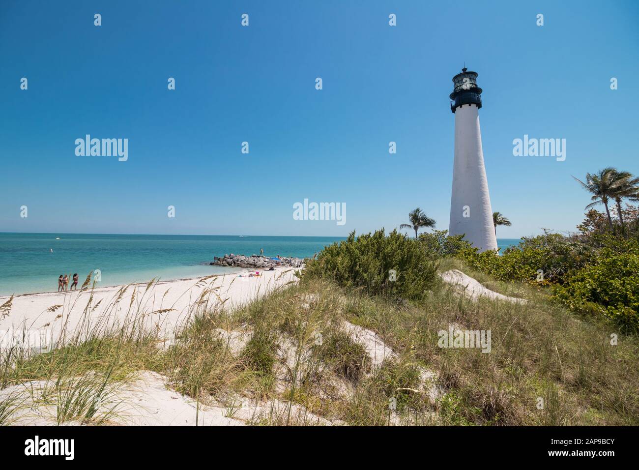 57,164 Key Biscayne Stock Photos, High-Res Pictures, and Images - Getty  Images