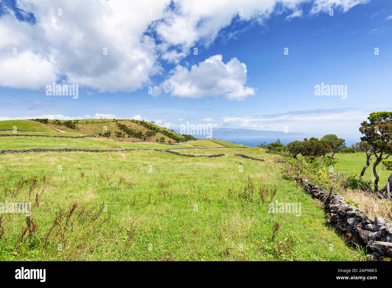 Azores hydrangea farm hi-res stock photography and images - Alamy