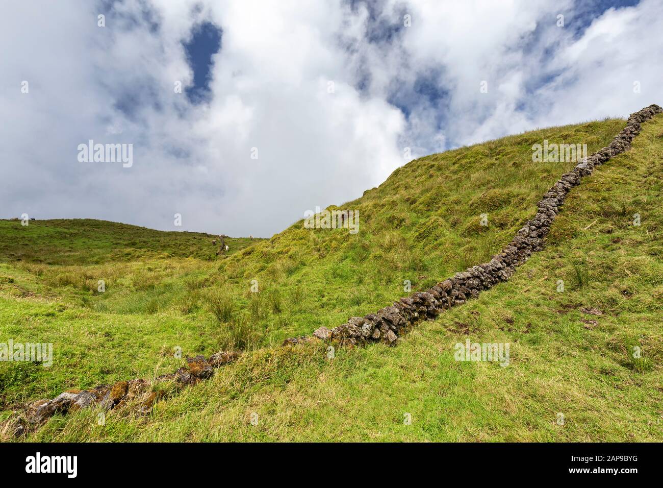 A man made rock wall on the hilly pastures on Pico island in the Azores, Portugal. Stock Photo