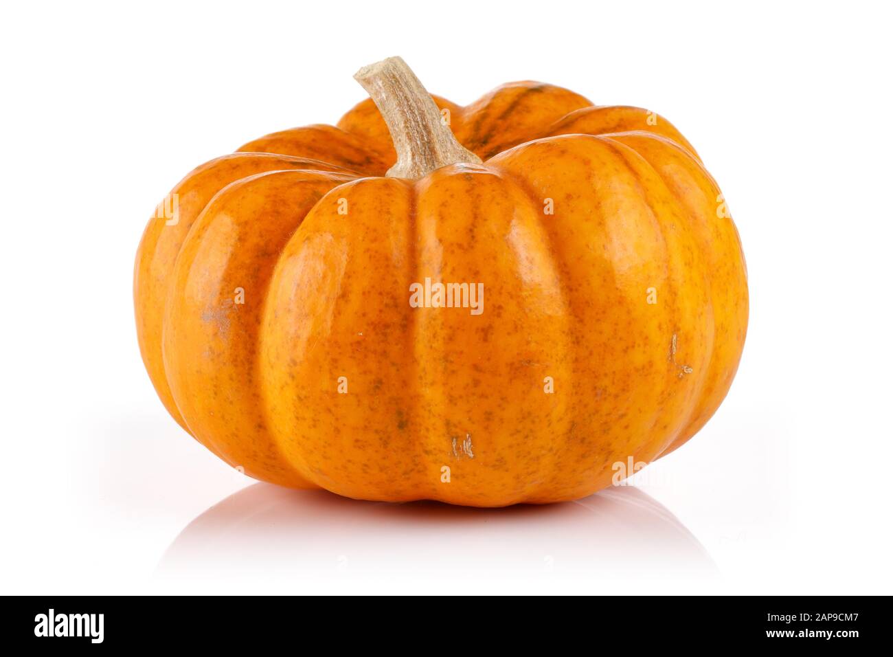 Single mini pumpkin isolated on white background Stock Photo