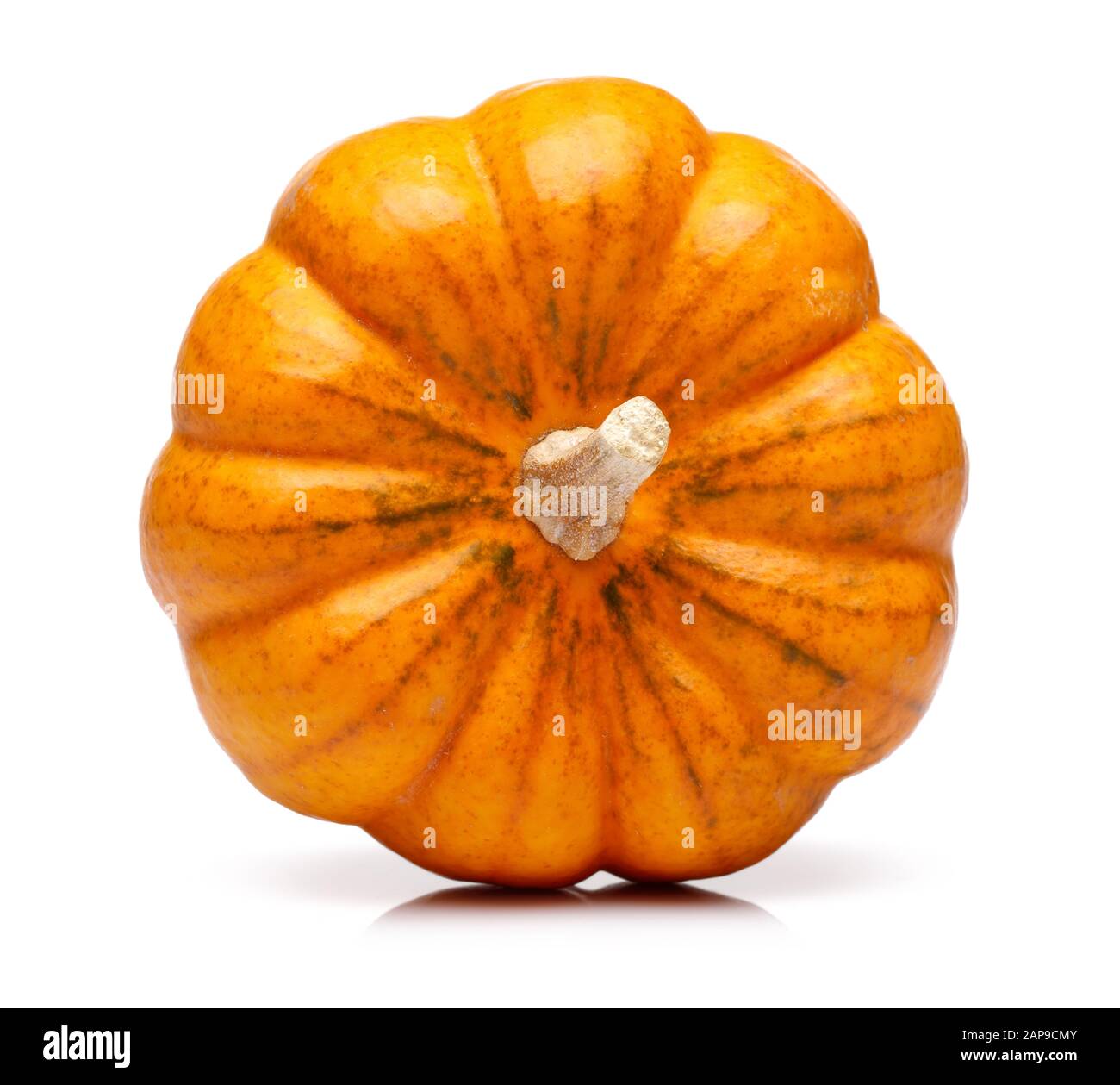 Single mini pumpkin isolated on white background Stock Photo