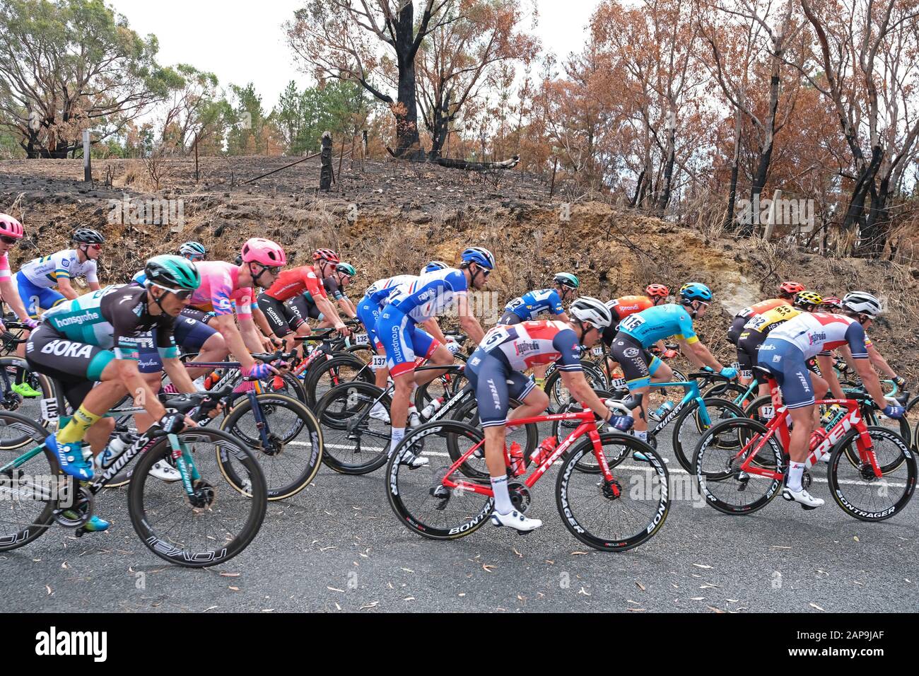 international cycle race