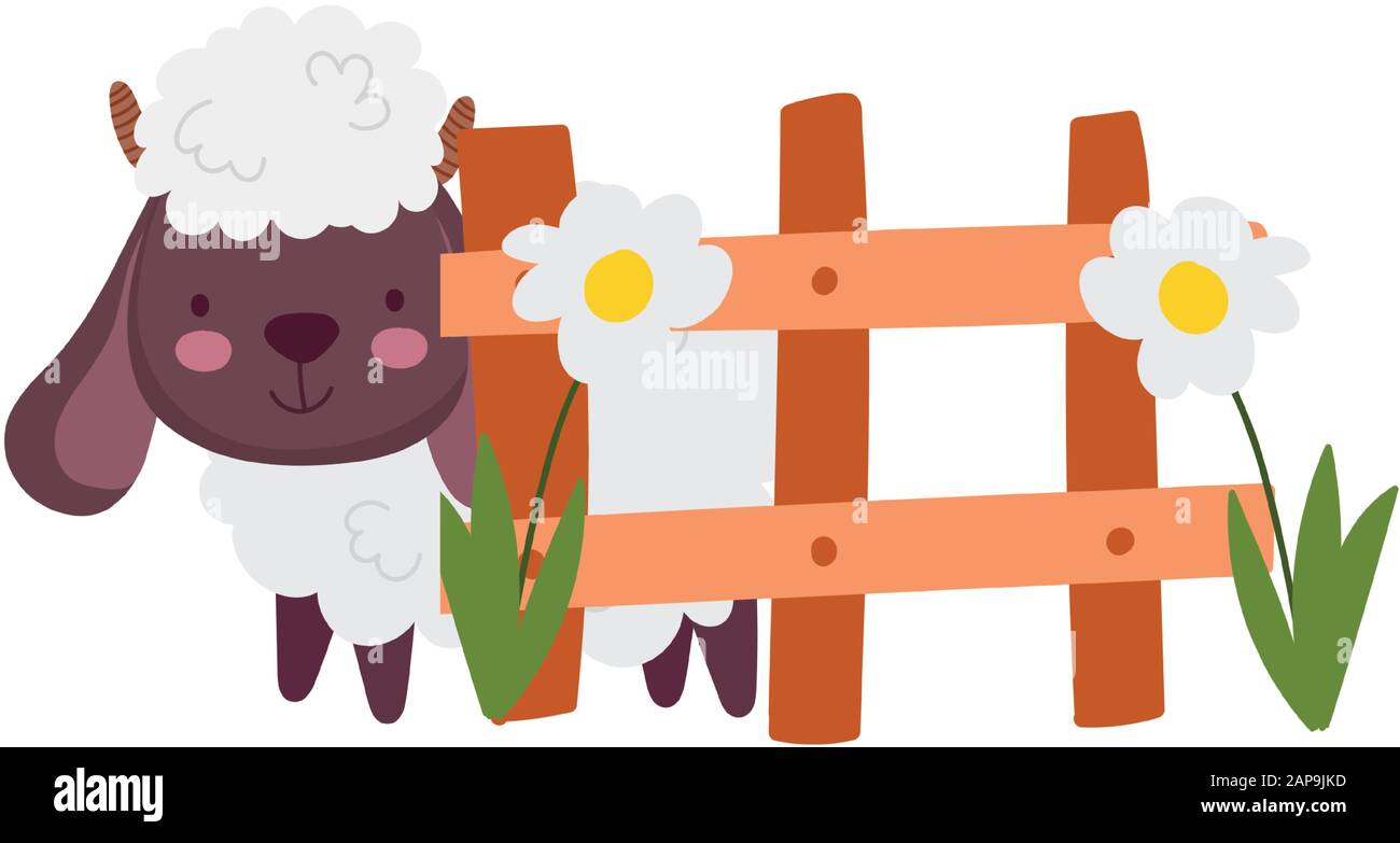sheep bovine fence flowers farm animal cartoon vector illustration ...