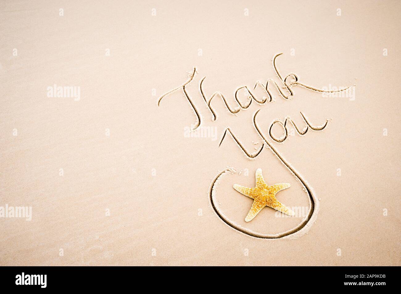 Thank You message handwritten in calligraphy with a starfish on a smooth stretch of beach with sand copy space Stock Photo