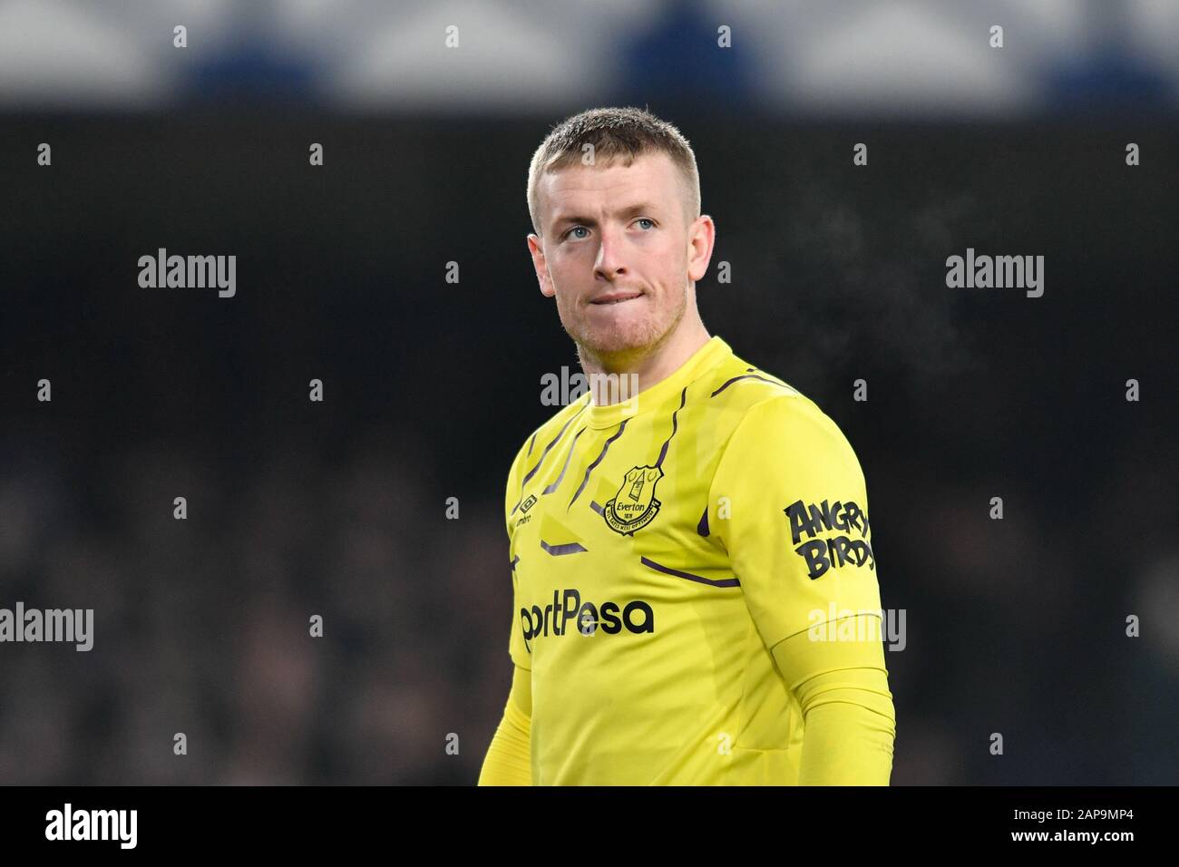 jordan pickford v newcastle