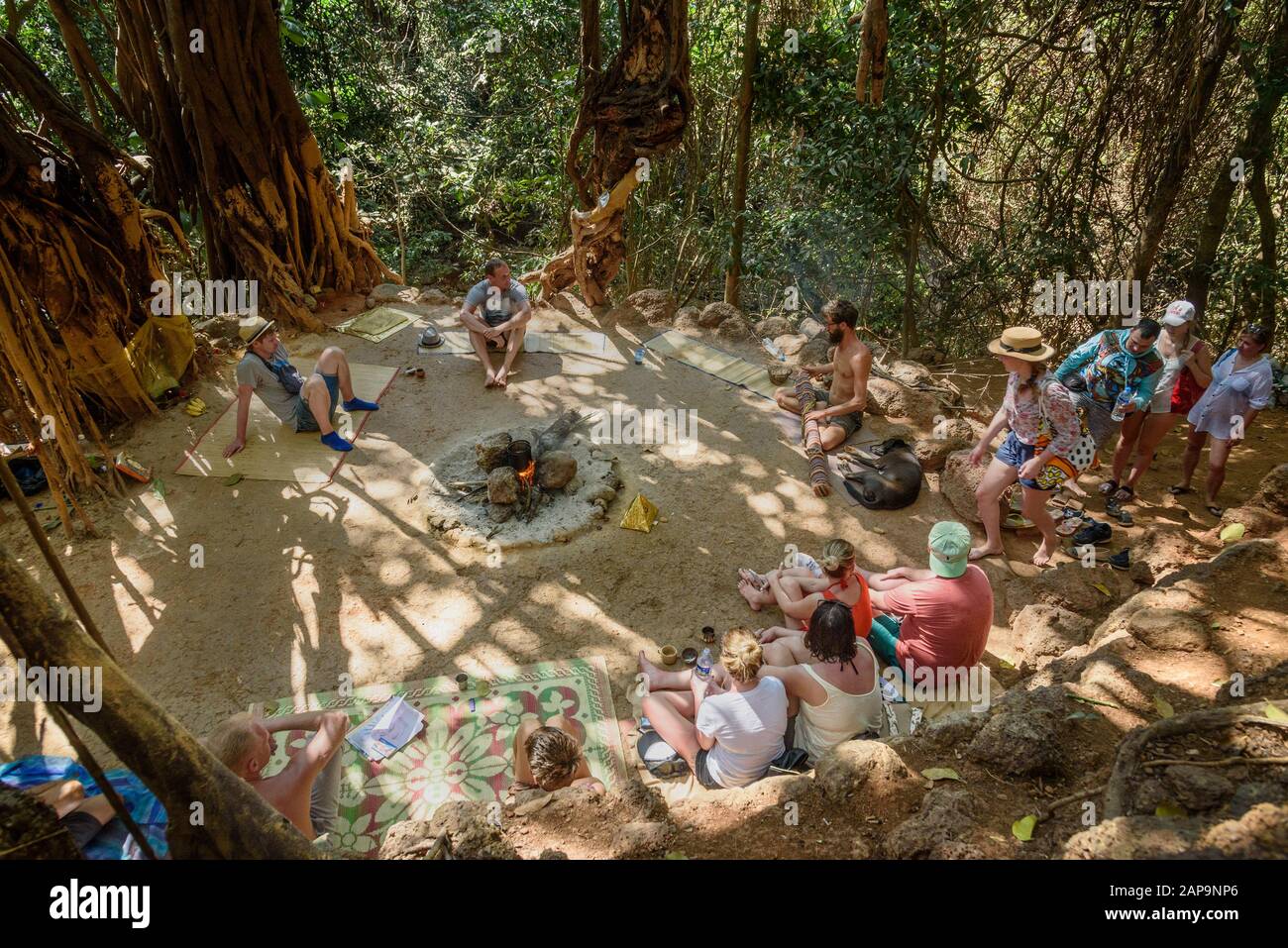 People under big banyan tree in Arambol. Goa Stock Photo - Alamy