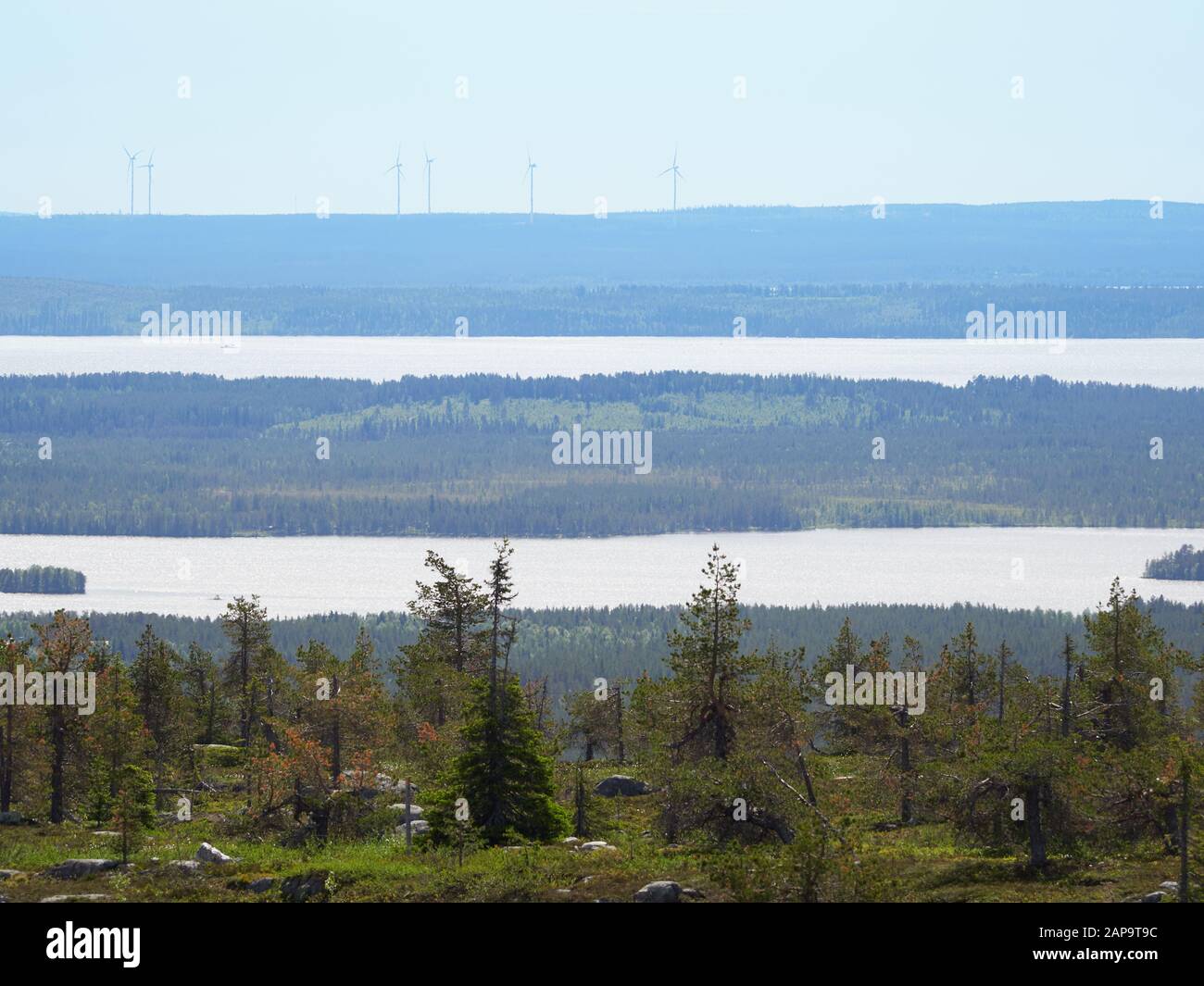 Boreal mountain hi-res stock photography and images - Alamy