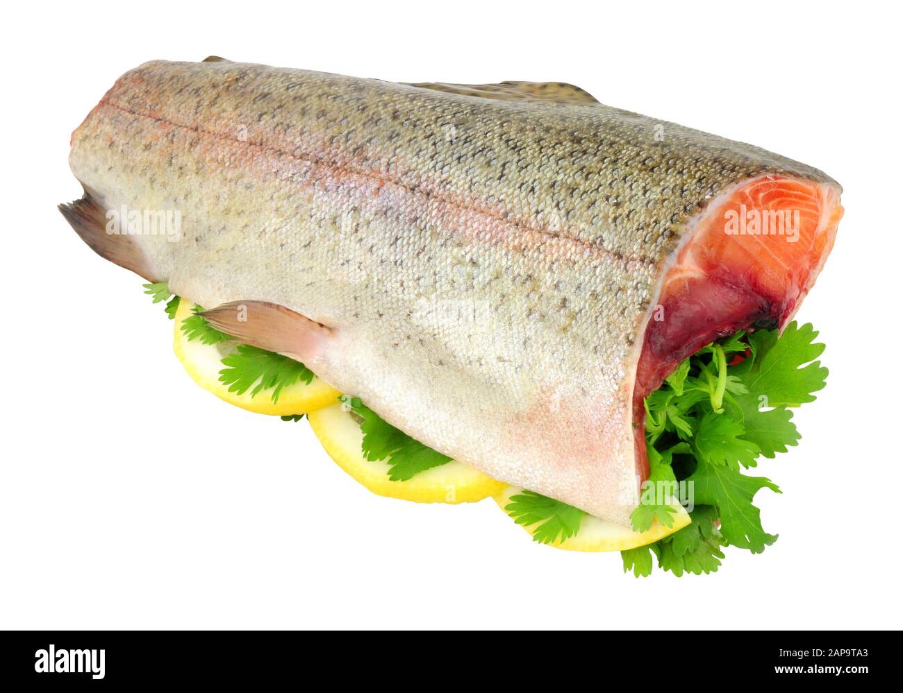 Fresh raw rainbow trout fish with head and tail removed ready for cooking isolated on a white background Stock Photo