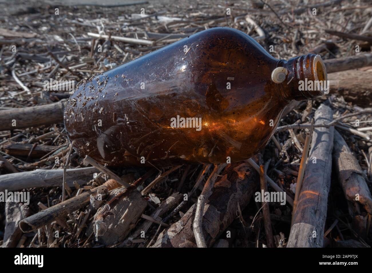 Dirty beach after the storm, bottle and wooden logs on the sand Stock Photo