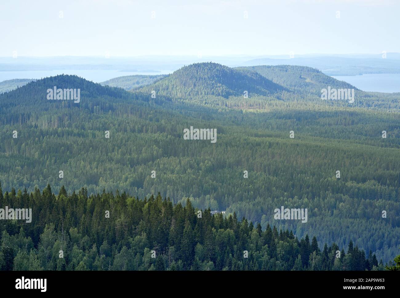 Summer landscape view from the top of the UkkoKoli, a fell at the national park Koli, Joensuu, Finland, the land of a thousand lakes. Stock Photo