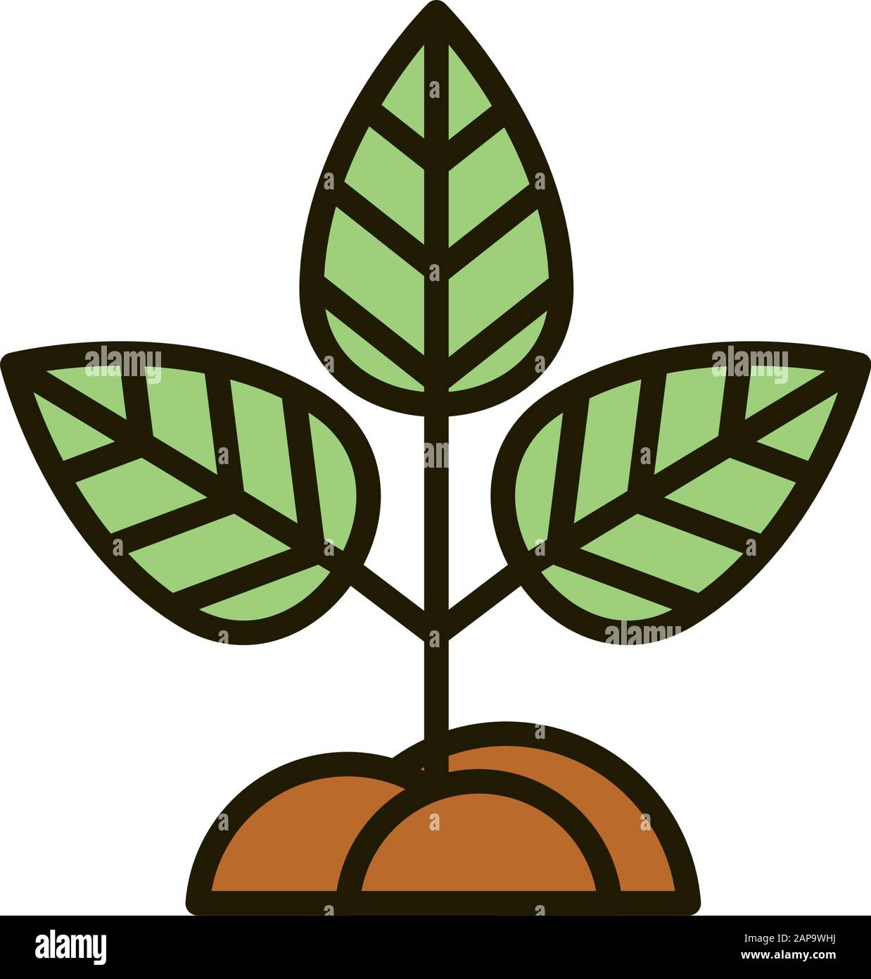 growth plant soil nature drawing vector illustration Stock Vector Image