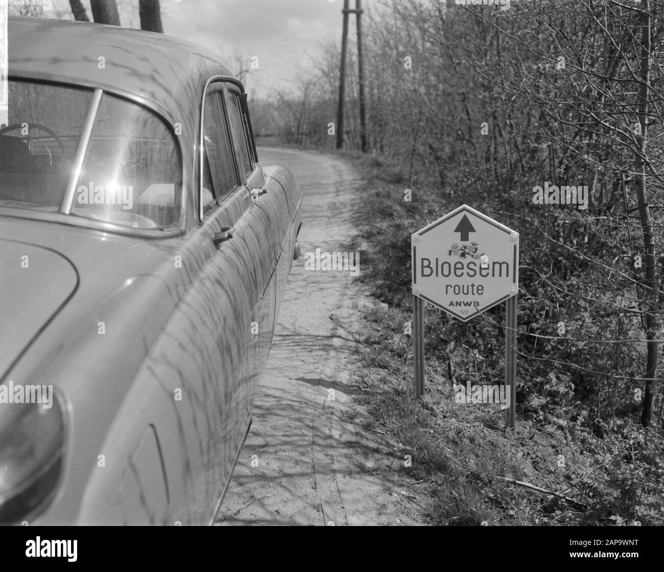 The first cherry orchards in bloom, surroundings Bunnik (municipality of Utrecht), cherry blossom Date: April 21, 1964 Location: Bunnik, Utrecht Keywords: orchards Stock Photo