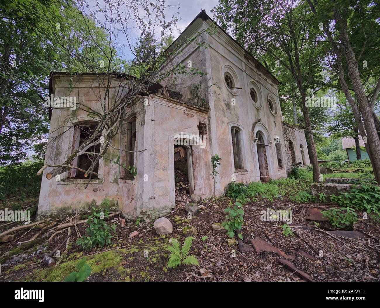 Old abandoned St. Nicholas Church ruins in Estonia. The lush foliage of trees and forest covering the beauty of this ancient ruined building. Stock Photo