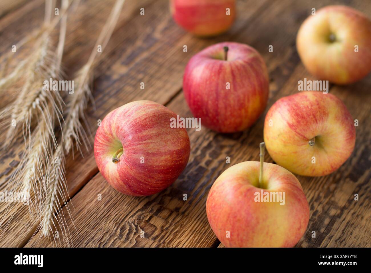 Close-up red apples and wheat ears on wooden background. Shallow depth of field. Focus on apple. Stock Photo
