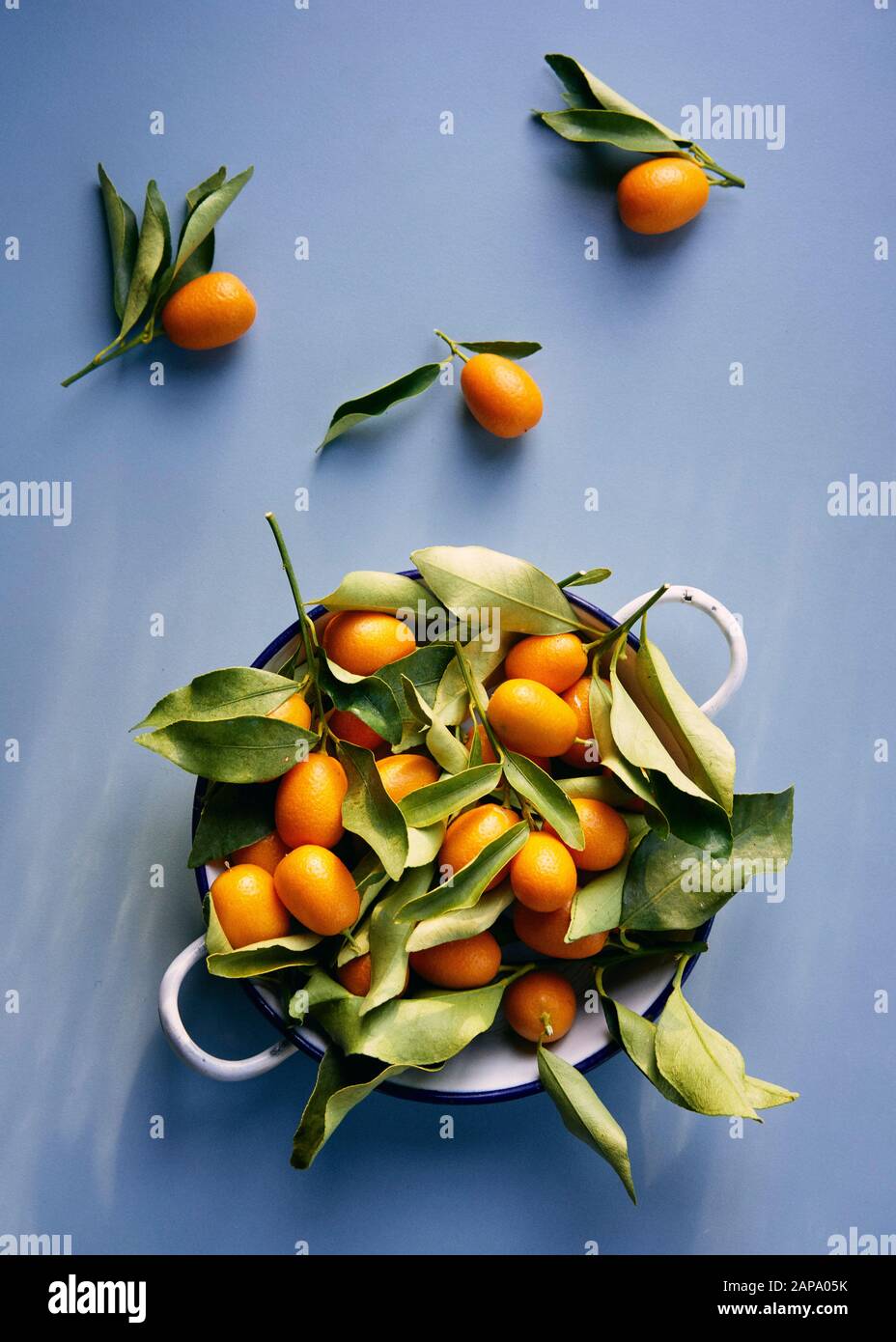 Kumquat corfu hires stock photography and images Alamy