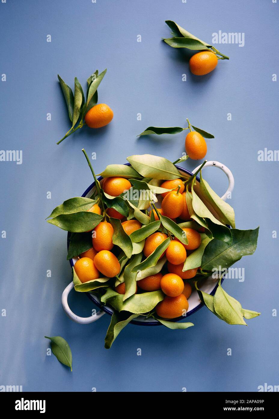 Kumquat corfu hires stock photography and images Alamy
