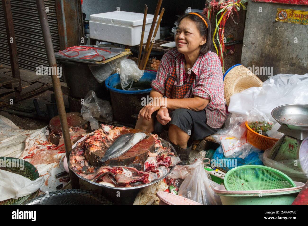 Chiang Mai market stall fish fisher seller woman worker Thailand Stock ...