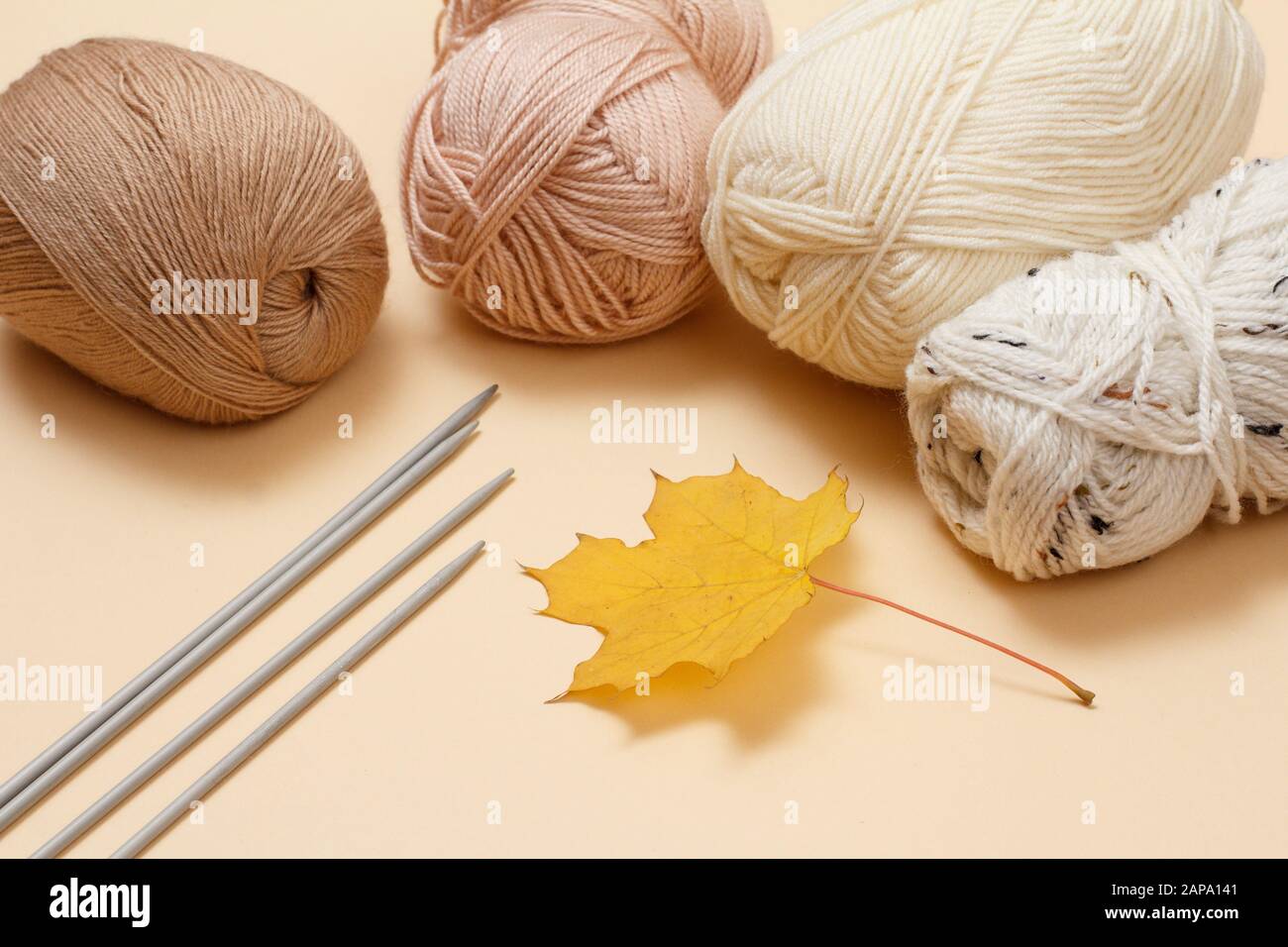 Knitting yarn balls, metal knitting needles and dry maple leaf on a beige background. Knitting concept. Top view. Stock Photo