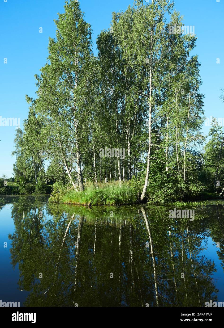 Small island on a sunny summer lake in Lodja, Estonia. . Serenity and tranquility in concept. Stock Photo