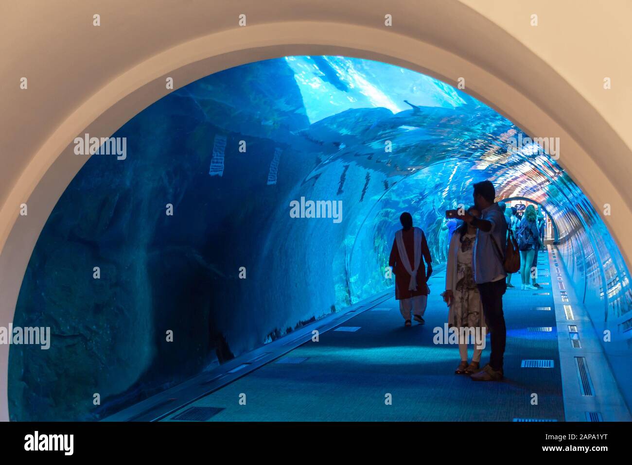 People in Dubai aquarium tunnel in Dubai mall, United Arab Emirates Stock Photo