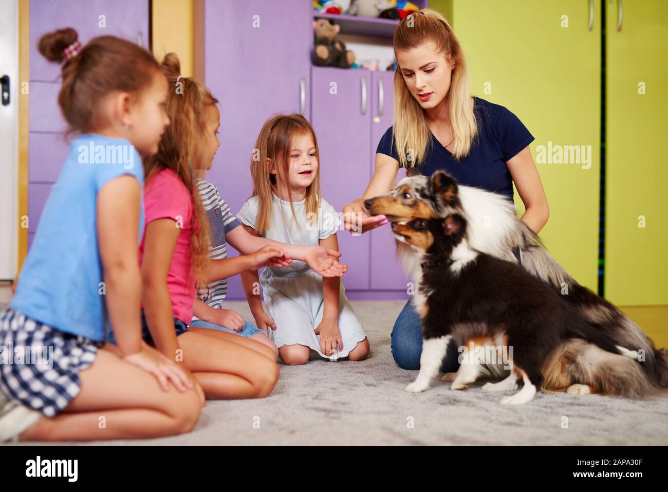 Children playing with dogs in the preschool Stock Photo Alamy