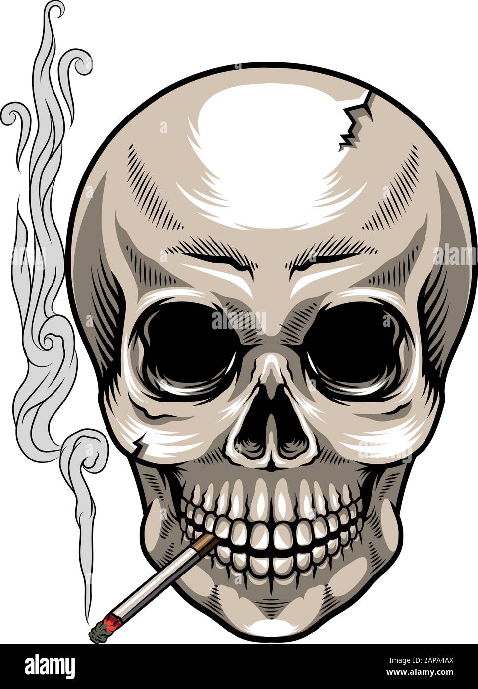 Skull with cigarette on white background Stock Vector Image & Art - Alamy