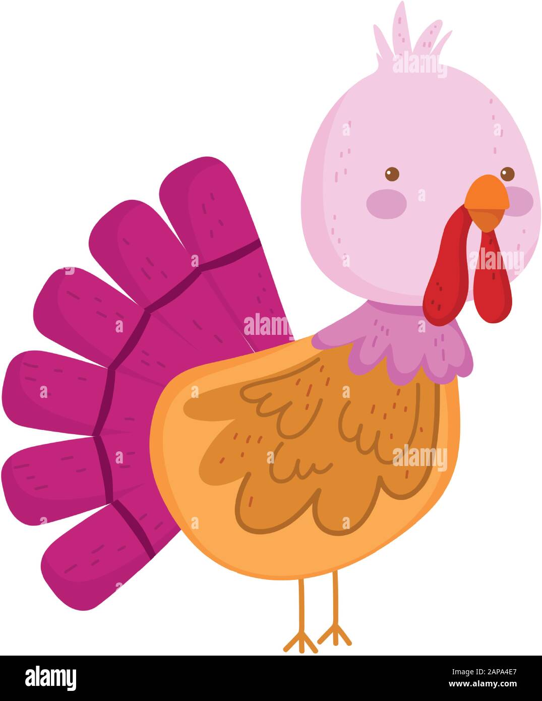 Turkey Bird Drawing High Resolution Stock Photography And Images Alamy