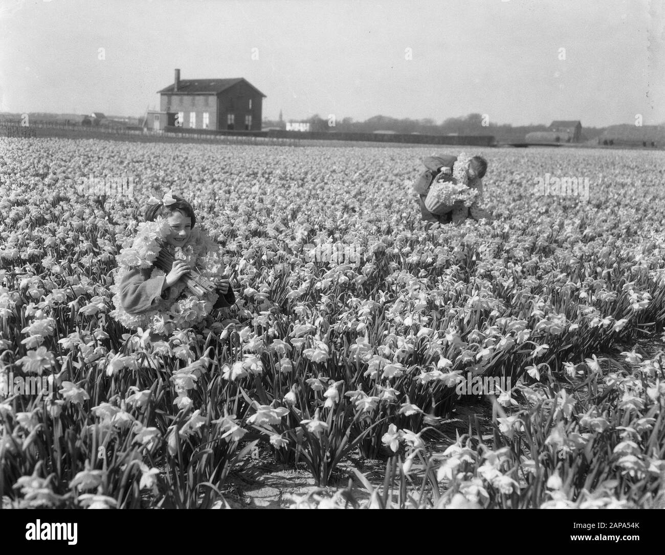 April flowers Black and White Stock Photos & Images Alamy