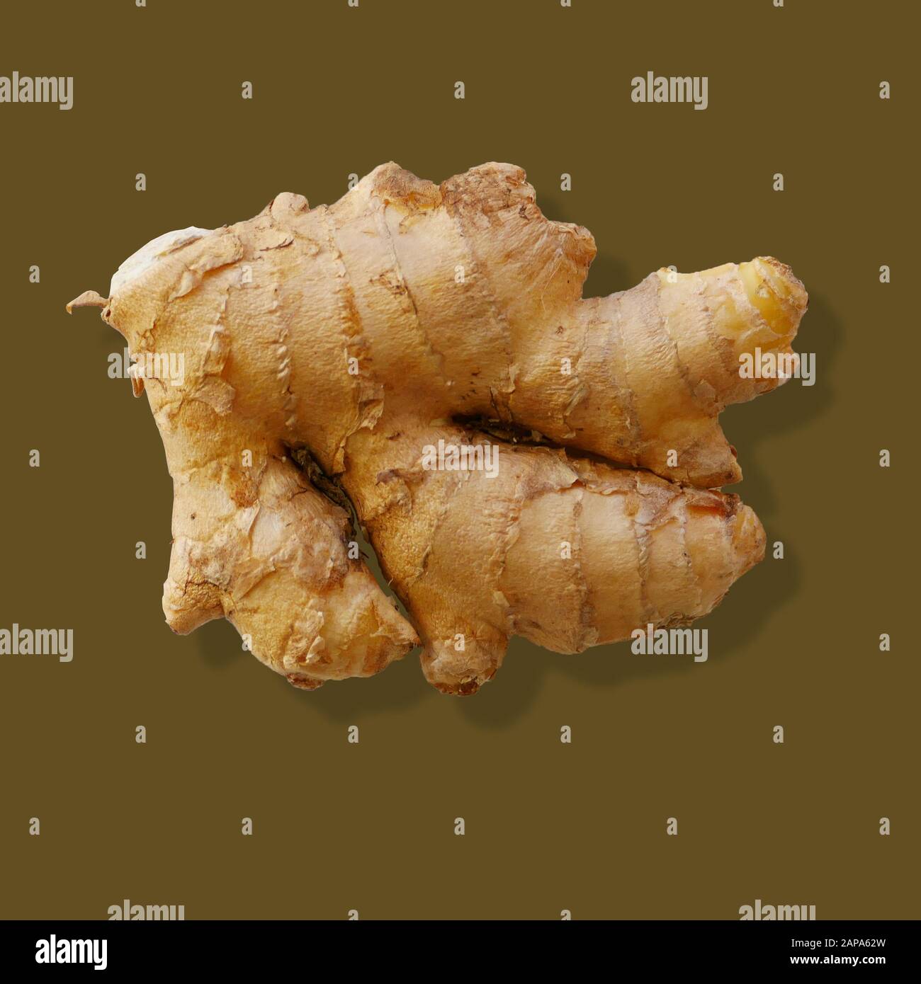 Fresh organic ginger root on dark green background. Stock Photo