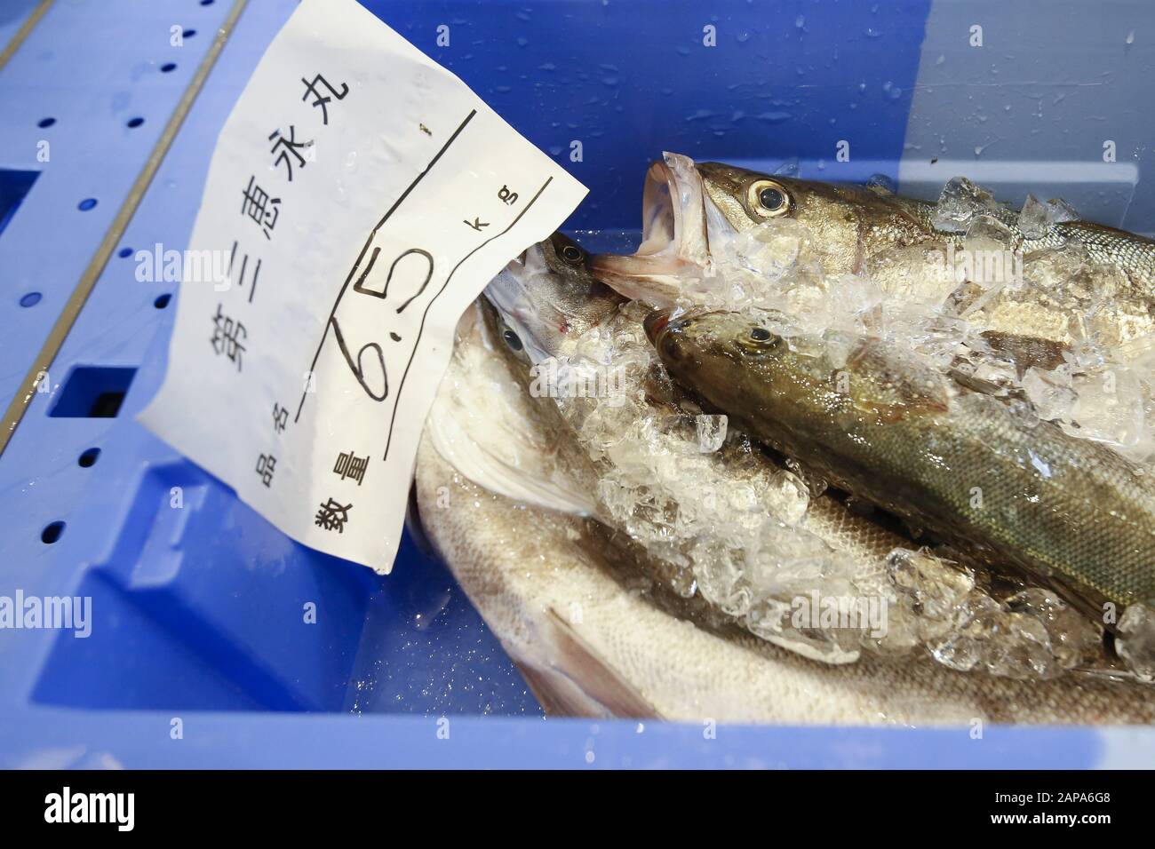 January 22 2020 Iwaki Japan Fishes For Sale Are Seen At The