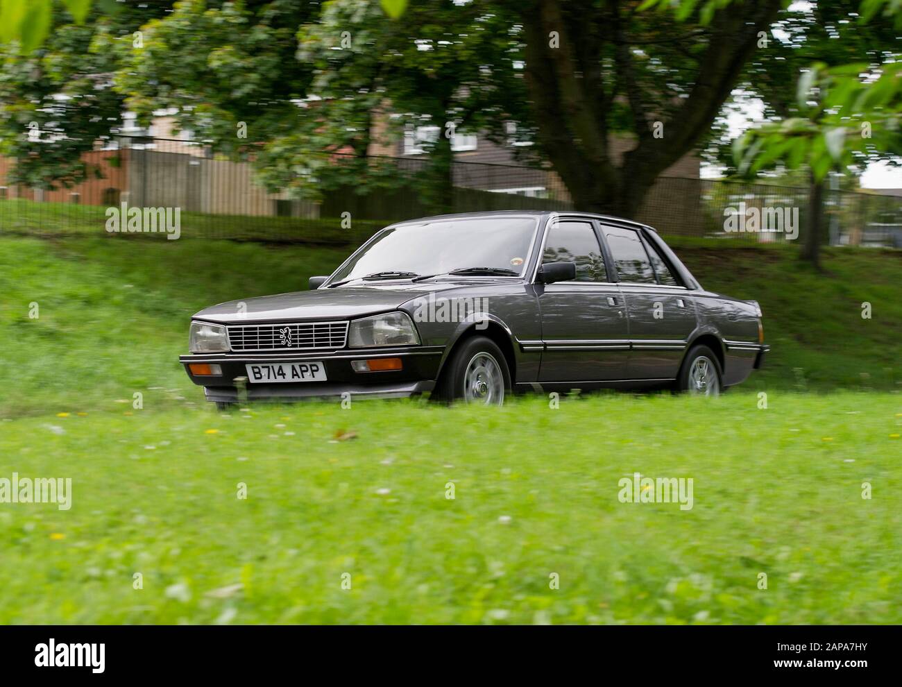 1985 Peugeot 505 GTi classic French fast saloon car Stock Photo