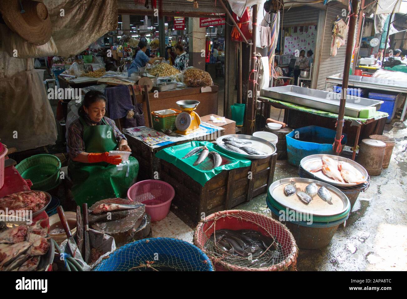 Chiang Mai Market Thailand fishes stall  woman seller Stock Photo