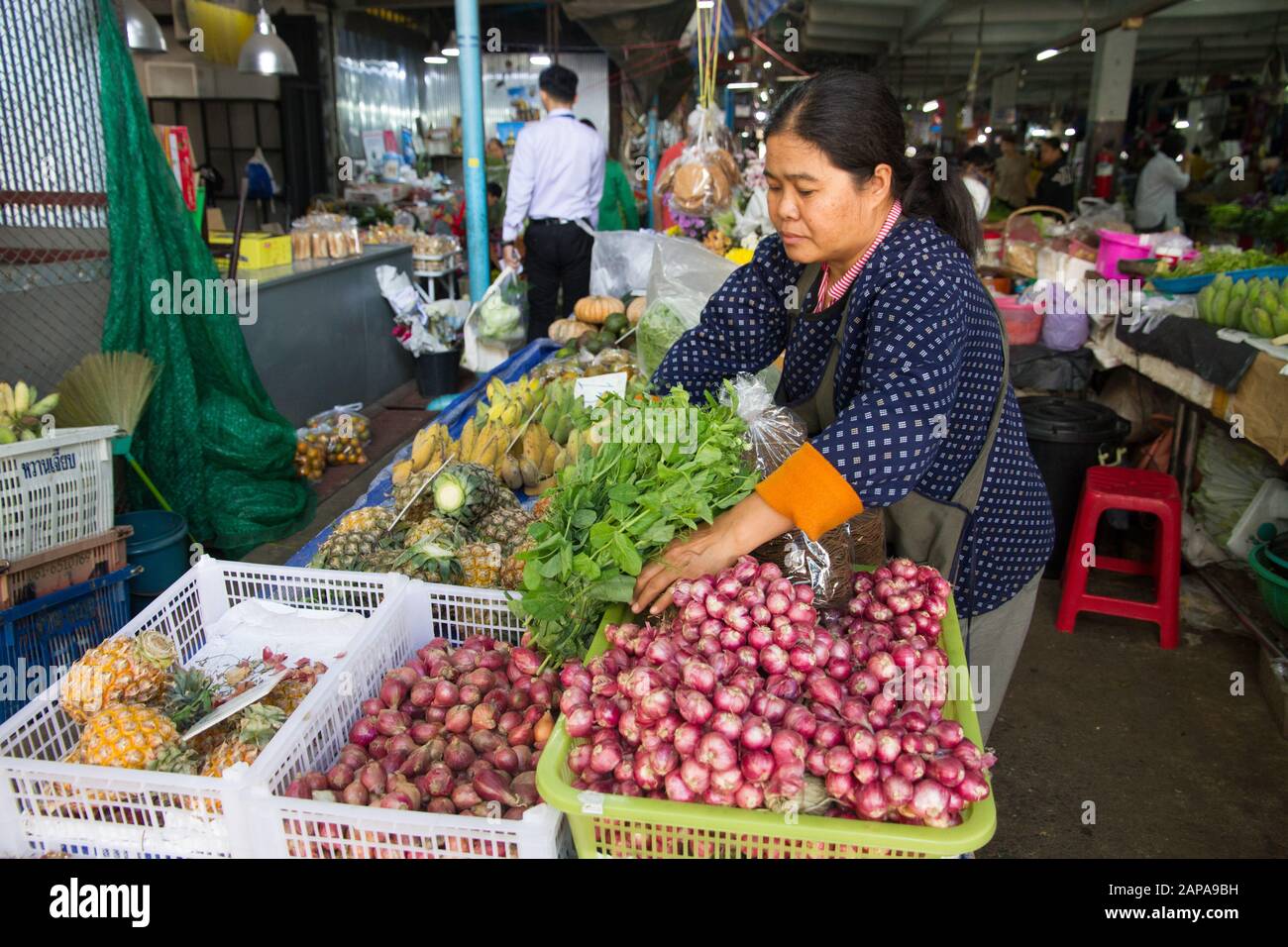 Chiang Mai Market  Thailand woman seller in vegetables stall Stock Photo