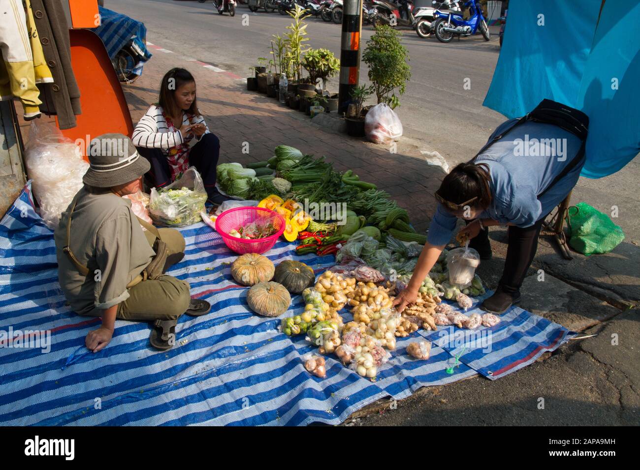 Chiang Mai Market Thailand city fruits vegetables people shopping Stock ...