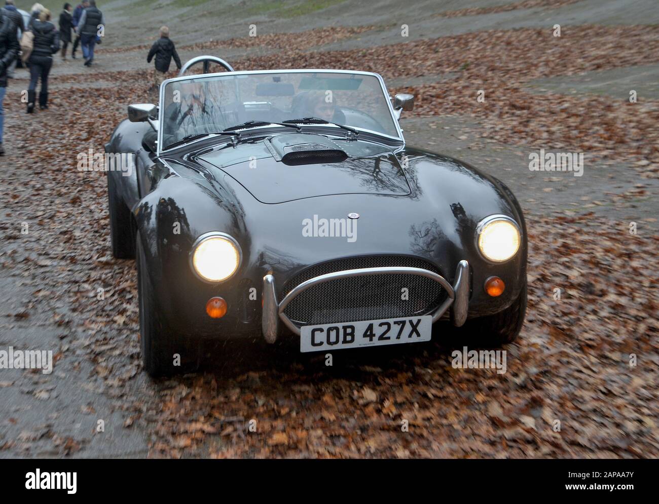 Brooklands New Years Day classic car meeting,  2015. AC Cobra Stock Photo