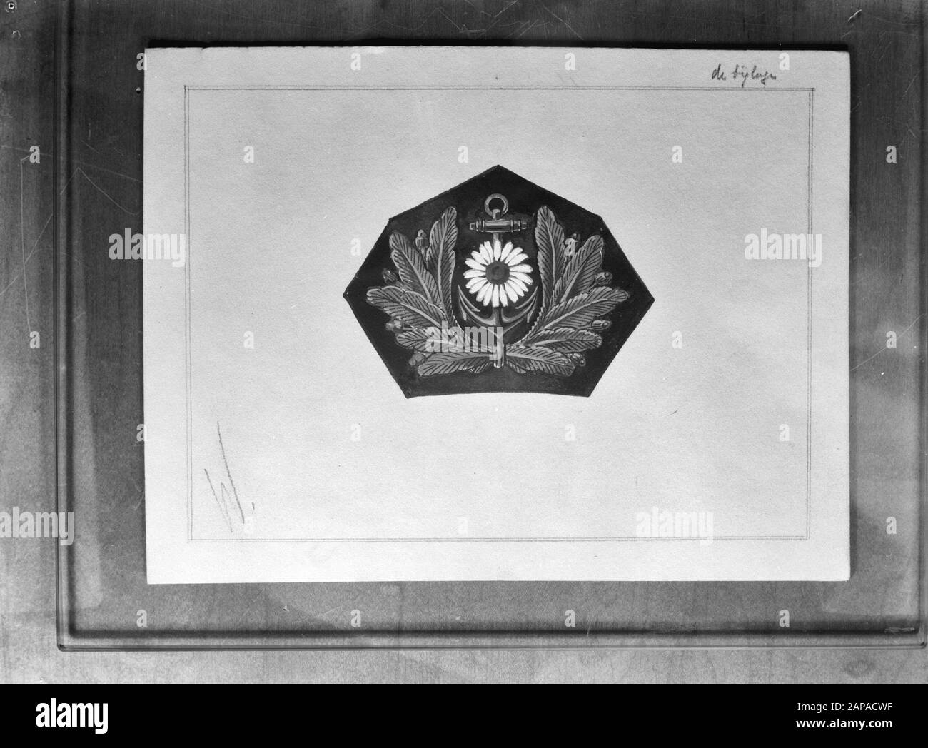 Download Mn Merchant Navy Anefo London Series Description Caption The New Emblem Of The Netherlands Merchant Navy Which Ahs Just Been Officially Approved By H M Queen Wilhelmina Of The Netherlands Princess Margriet The Youngest