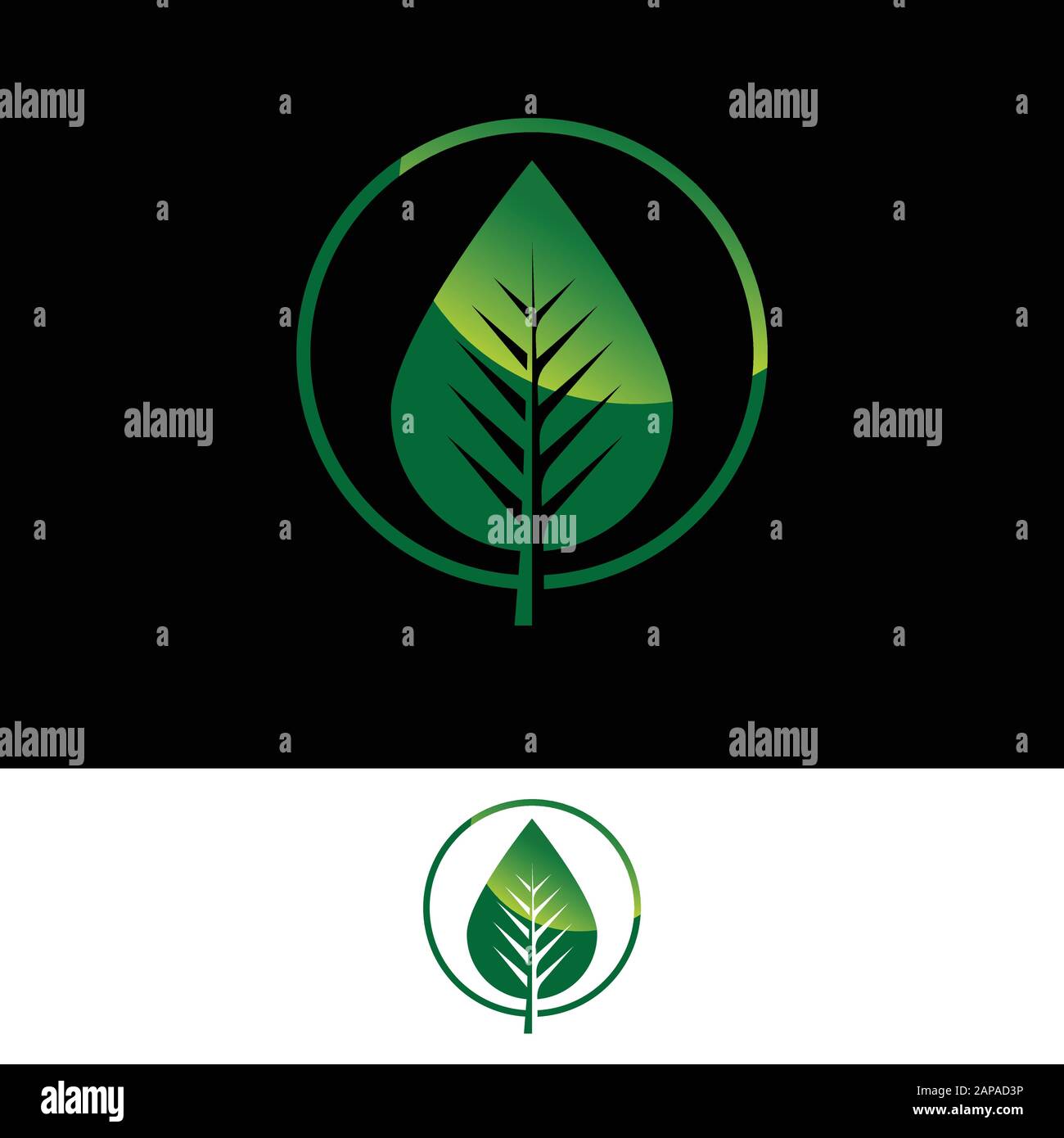 Abstract green leaf logo icon vector design, Leaf in a circle Stock ...