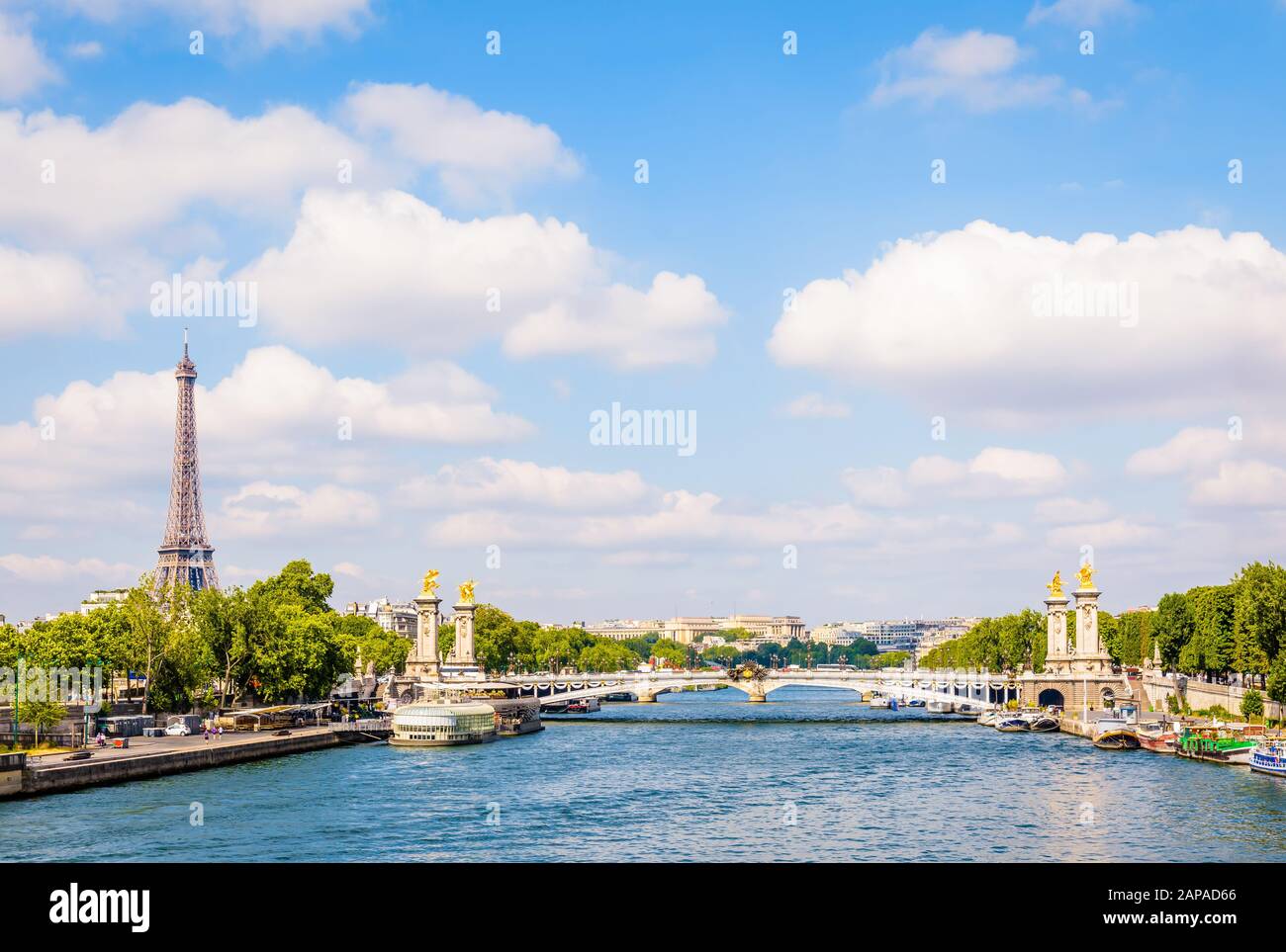 Cityscape of Paris, France, with the Alexandre III bridge over the river Seine, the Eiffel tower on the left and the Chaillot palace in the distance. Stock Photo