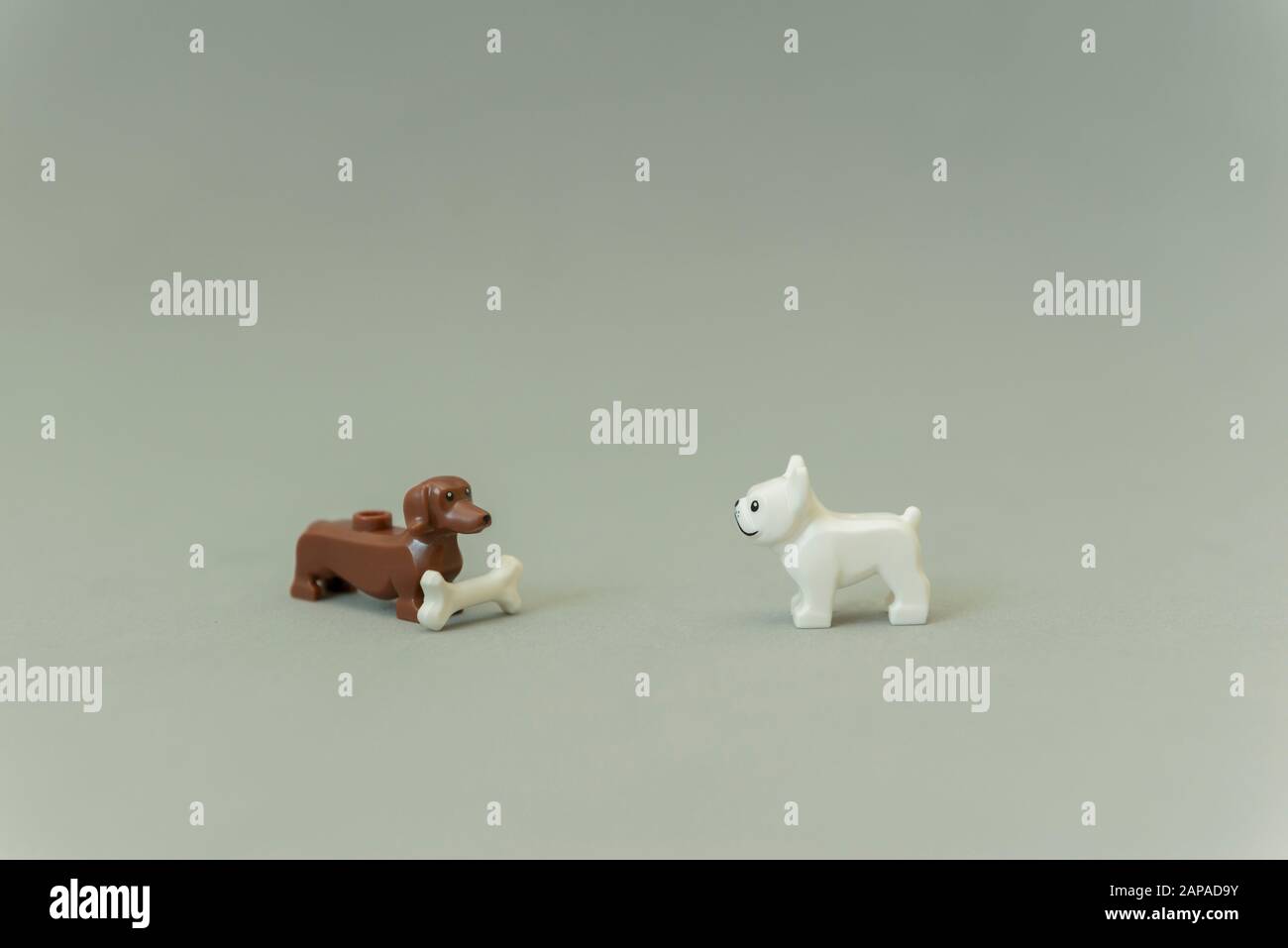 Florianopolis Brazil May 5 2019 Lego minifigures of a pug puppy looking at a dachshund with a bone. Lego minifigures are manufactured by The Lego Stock Photo Alamy
