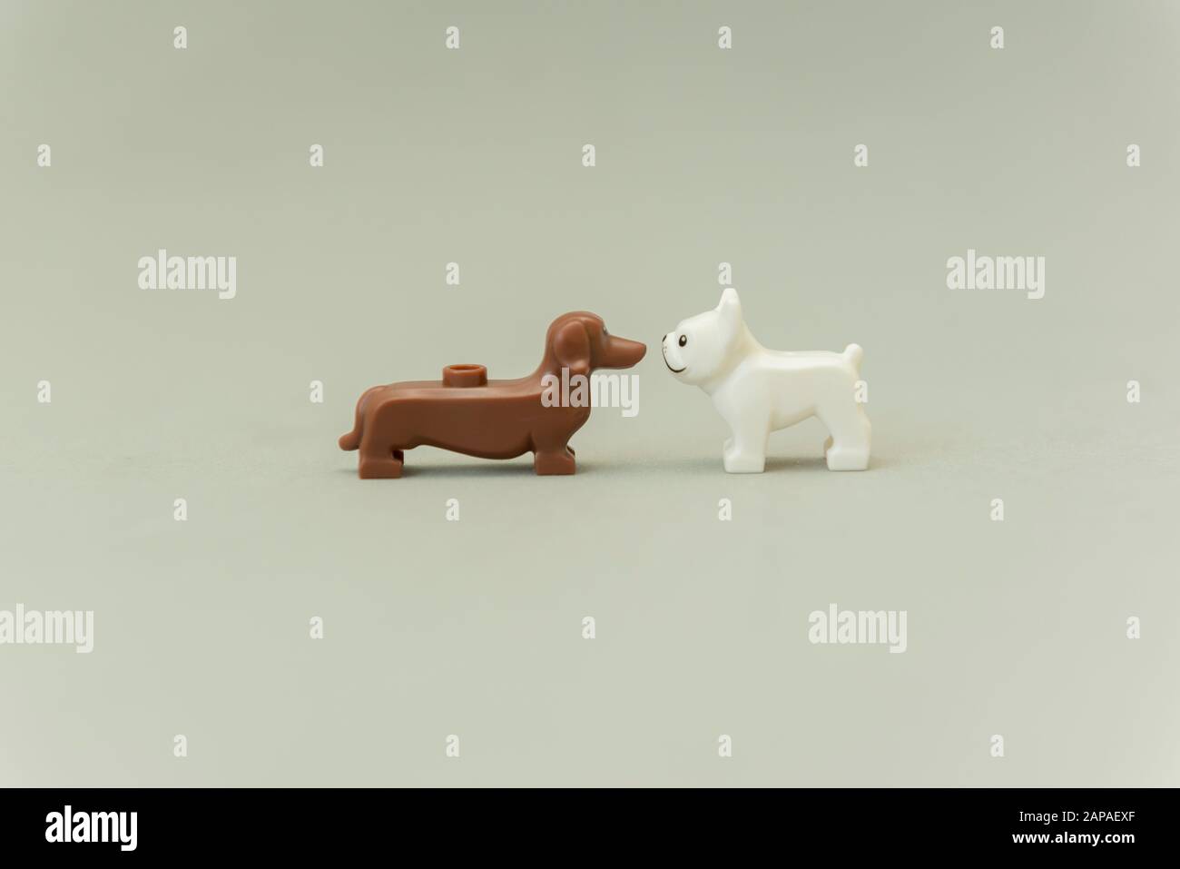 Florianopolis - Brazil, May 5, 2019: Side view of Lego minifigures of two dogs face to face. A pug and a dachshund. Lego minifigures are manufactured Stock Photo