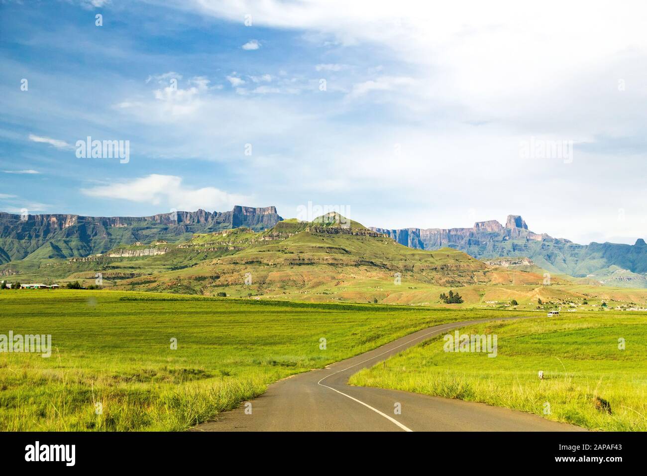 Street leading to the Amphitheatre of the Drakensberg mountains, Royal Natal National Park, South Africa Stock Photo