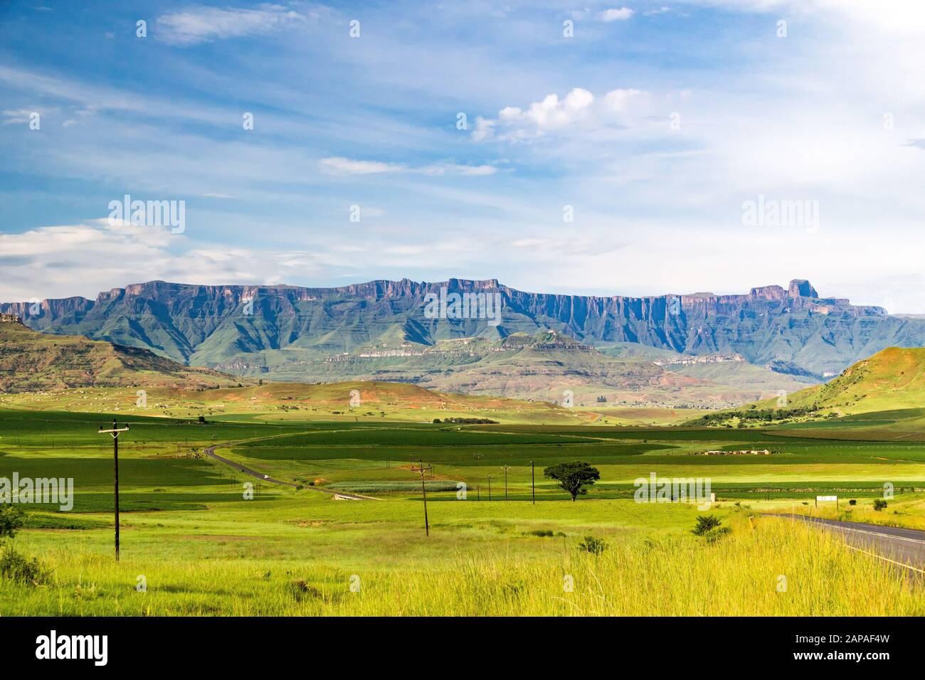 The Amphitheatre of the Drakensberg mountains on a sunny summer day, Royal Natal National Park, South Africa Stock Photo