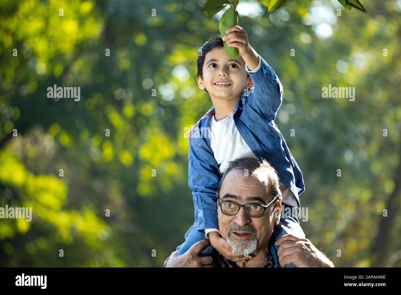 Grandson sitting on grandfather's shoulder at park Stock Photo